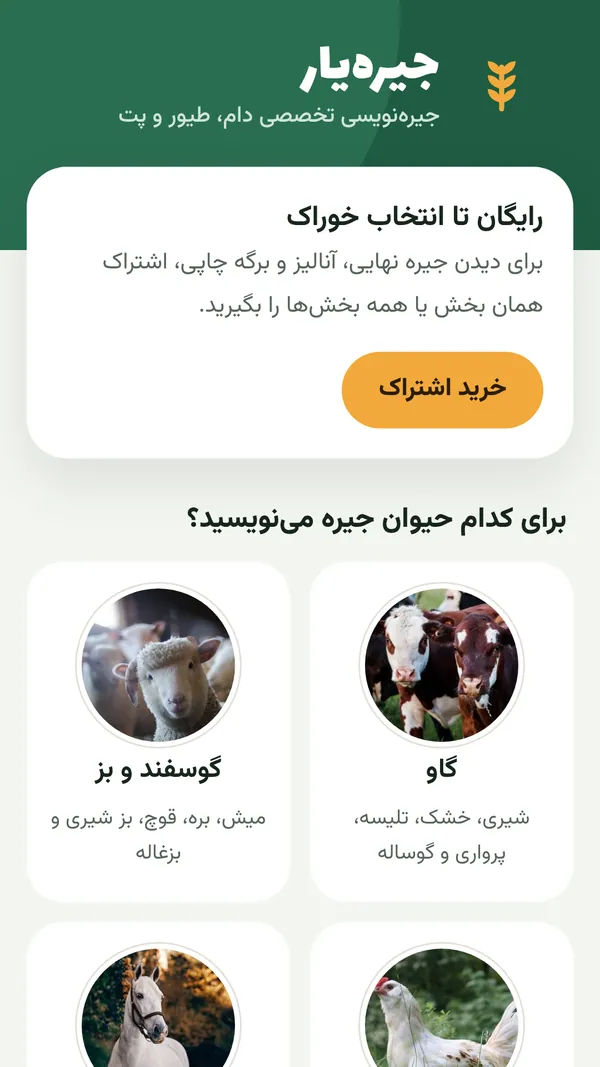 صفحه اصلی برنامه جیرهیار